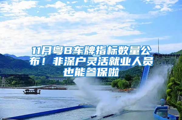 11月粵B車牌指標(biāo)數(shù)量公布！非深戶靈活就業(yè)人員也能參保啦