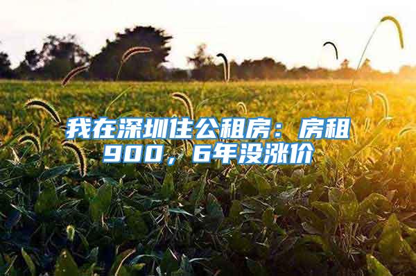 我在深圳住公租房：房租900，6年沒漲價