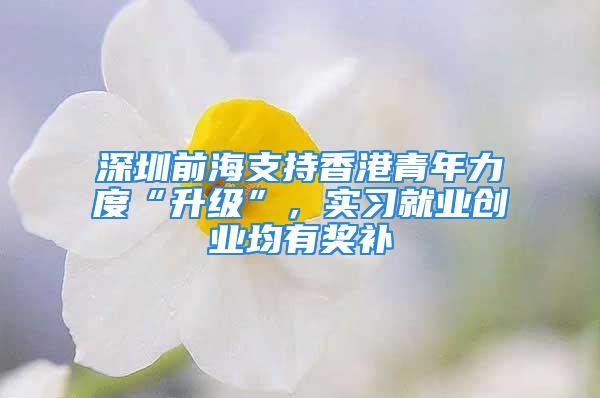 深圳前海支持香港青年力度“升級(jí)”，實(shí)習(xí)就業(yè)創(chuàng)業(yè)均有獎(jiǎng)補(bǔ)