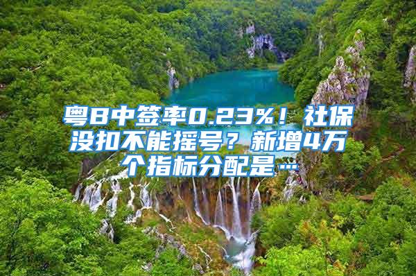 粵B中簽率0.23%！社保沒扣不能搖號(hào)？新增4萬個(gè)指標(biāo)分配是…