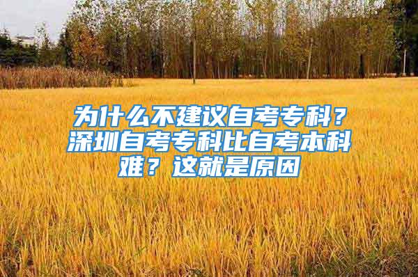 為什么不建議自考專科？深圳自考?？票茸钥急究齐y？這就是原因