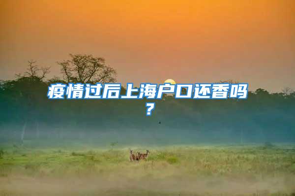 疫情過后上海戶口還香嗎？