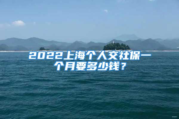 2022上海個(gè)人交社保一個(gè)月要多少錢(qián)？