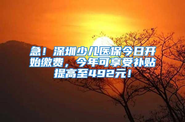 急！深圳少兒醫(yī)保今日開始繳費(fèi)，今年可享受補(bǔ)貼提高至492元！