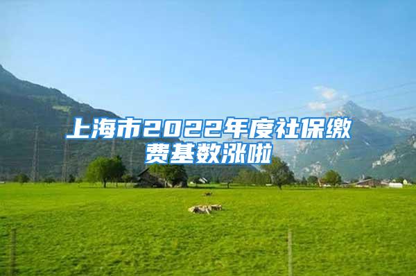 上海市2022年度社保繳費基數(shù)漲啦