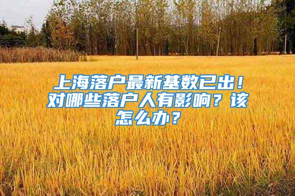 上海落戶最新基數(shù)已出！對哪些落戶人有影響？該怎么辦？