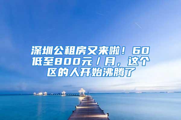 深圳公租房又來啦！60㎡低至800元／月，這個區(qū)的人開始沸騰了