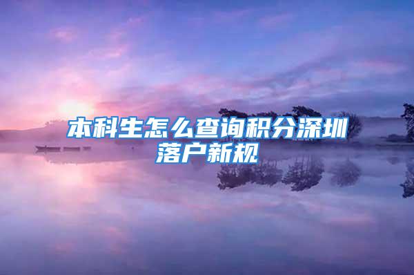 本科生怎么查詢積分深圳落戶新規(guī)