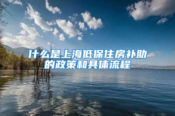 什么是上海低保住房補助的政策和具體流程