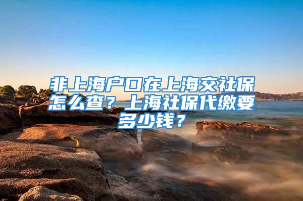 非上海戶口在上海交社保怎么查？上海社保代繳要多少錢？