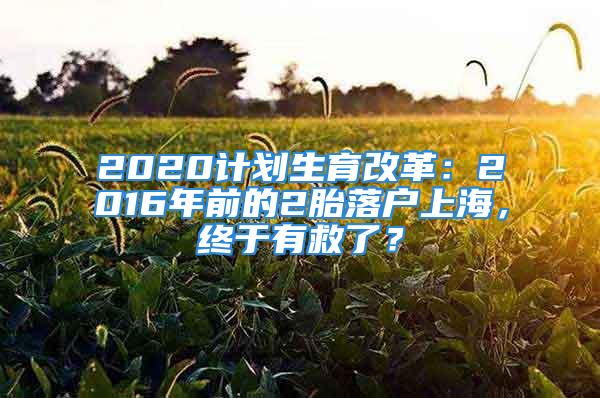 2020計劃生育改革：2016年前的2胎落戶上海，終于有救了？