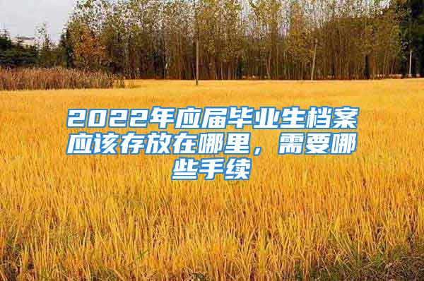 2022年應(yīng)屆畢業(yè)生檔案應(yīng)該存放在哪里，需要哪些手續(xù)