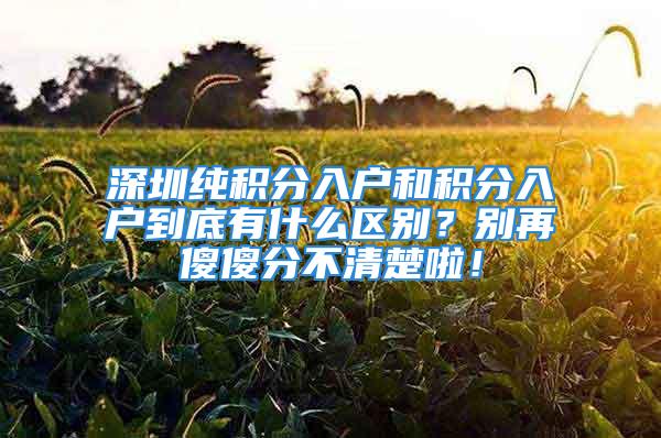 深圳純積分入戶和積分入戶到底有什么區(qū)別？別再傻傻分不清楚啦！