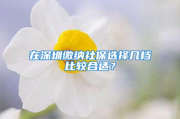 在深圳繳納社保選擇幾檔比較合適？