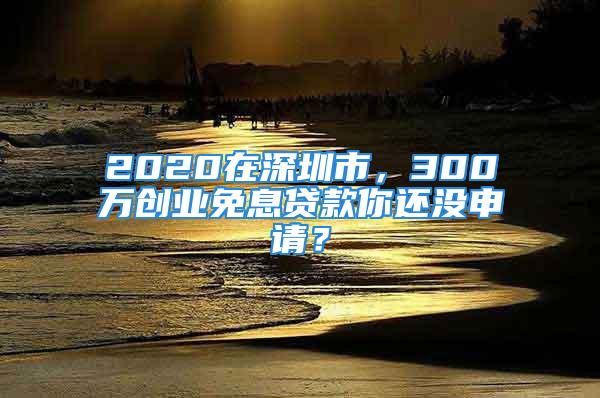 2020在深圳市，300萬創(chuàng)業(yè)免息貸款你還沒申請(qǐng)？