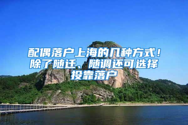 配偶落戶上海的幾種方式！除了隨遷、隨調(diào)還可選擇投靠落戶