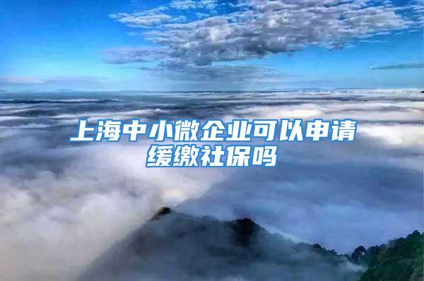 上海中小微企業(yè)可以申請緩繳社保嗎