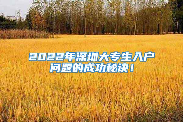 2022年深圳大專生入戶問題的成功秘訣！