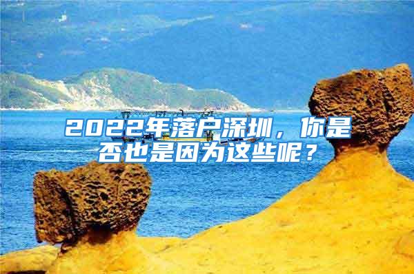 2022年落戶深圳，你是否也是因?yàn)檫@些呢？