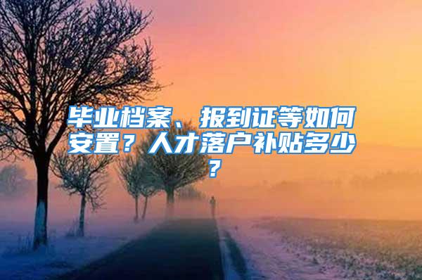 畢業(yè)檔案、報(bào)到證等如何安置？人才落戶(hù)補(bǔ)貼多少？