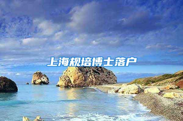 上海規(guī)培博士落戶