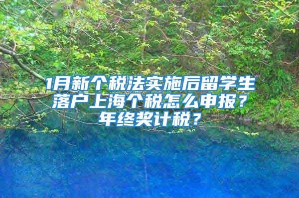 1月新個稅法實(shí)施后留學(xué)生落戶上海個稅怎么申報(bào)？年終獎計(jì)稅？