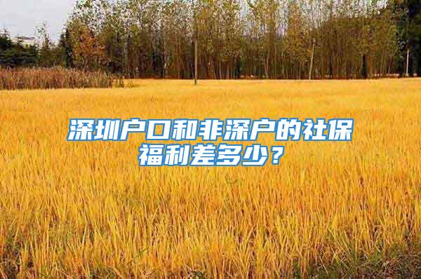 深圳戶口和非深戶的社保福利差多少？