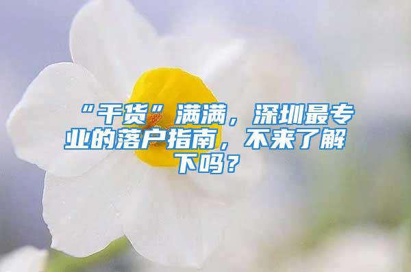 “干貨”滿滿，深圳最專業(yè)的落戶指南，不來(lái)了解下嗎？