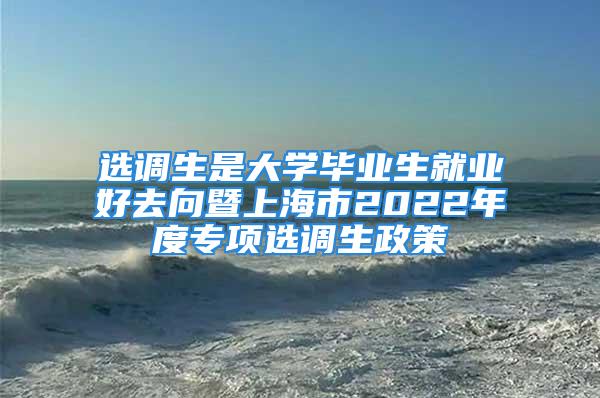 選調(diào)生是大學(xué)畢業(yè)生就業(yè)好去向暨上海市2022年度專項(xiàng)選調(diào)生政策