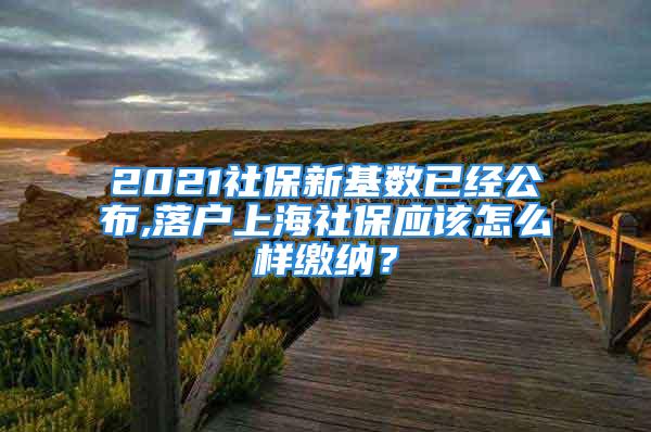 2021社保新基數(shù)已經(jīng)公布,落戶上海社保應(yīng)該怎么樣繳納？