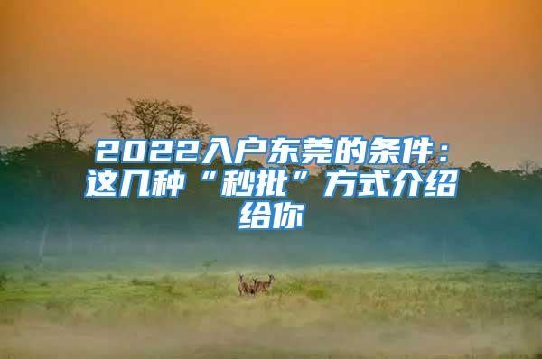 2022入戶東莞的條件：這幾種“秒批”方式介紹給你