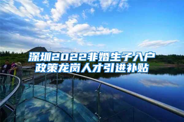 深圳2022非婚生子入戶政策龍崗人才引進(jìn)補(bǔ)貼