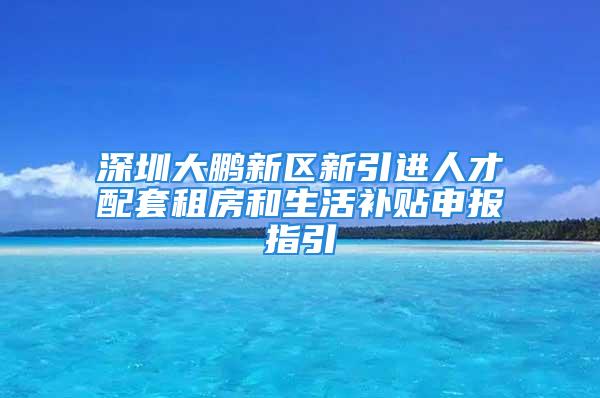 深圳大鵬新區(qū)新引進人才配套租房和生活補貼申報指引