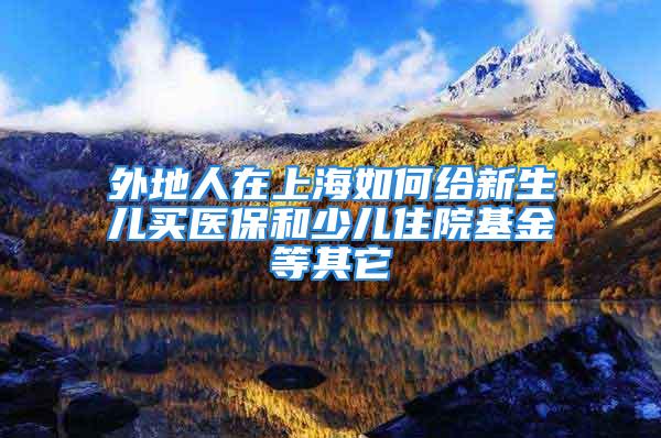 外地人在上海如何給新生兒買醫(yī)保和少兒住院基金等其它