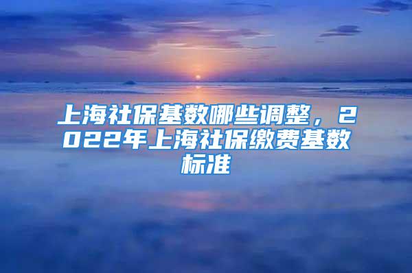 上海社?；鶖?shù)哪些調(diào)整，2022年上海社保繳費(fèi)基數(shù)標(biāo)準(zhǔn)