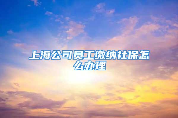 上海公司員工繳納社保怎么辦理