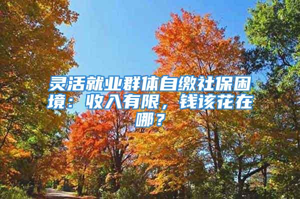 靈活就業(yè)群體自繳社保困境：收入有限，錢該花在哪？