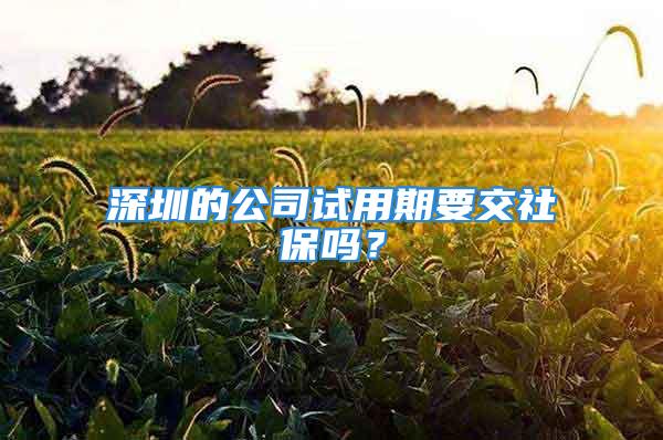 深圳的公司試用期要交社保嗎？