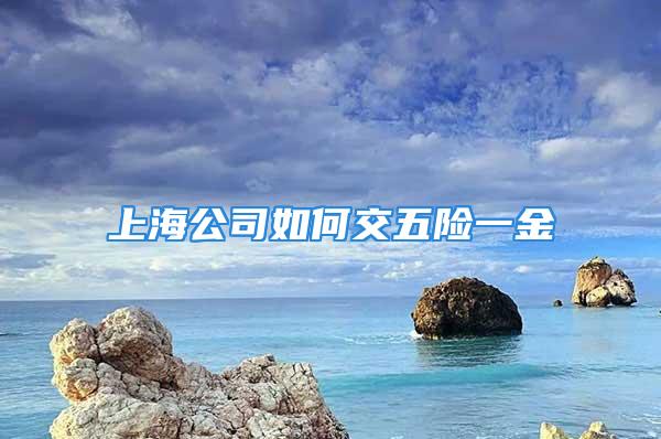 上海公司如何交五險一金