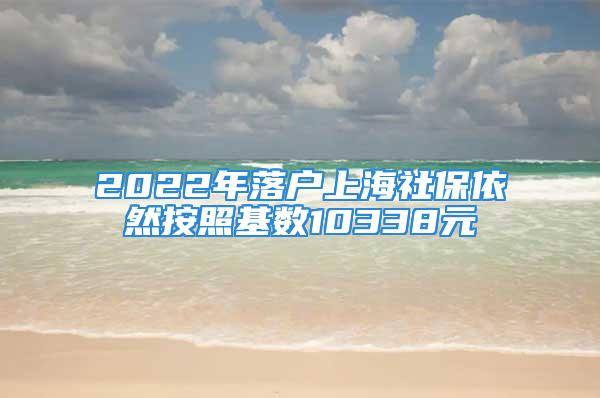 2022年落戶上海社保依然按照基數(shù)10338元