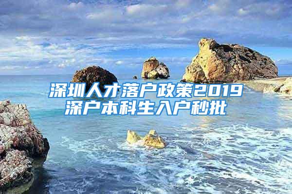 深圳人才落戶政策2019深戶本科生入戶秒批