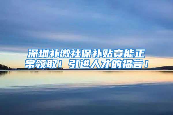 深圳補繳社保補貼竟能正常領(lǐng)??！引進人才的福音！