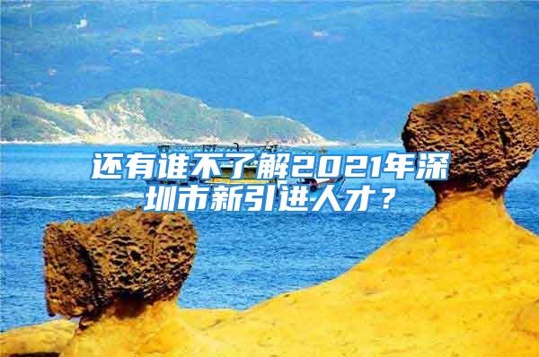 還有誰不了解2021年深圳市新引進(jìn)人才？