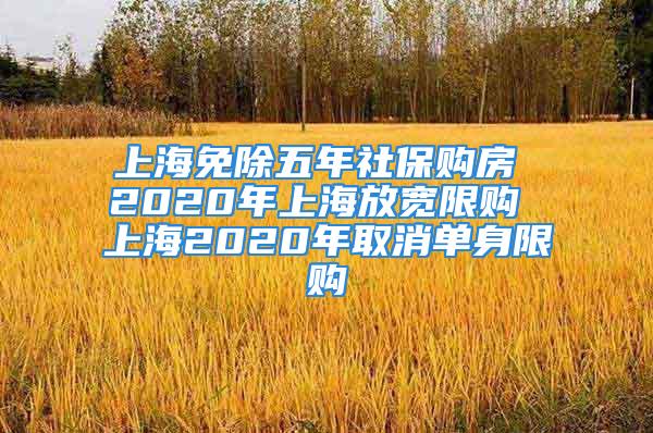 上海免除五年社保購房 2020年上海放寬限購 上海2020年取消單身限購