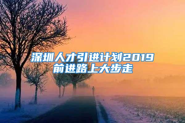 深圳人才引進(jìn)計(jì)劃2019前進(jìn)路上大步走