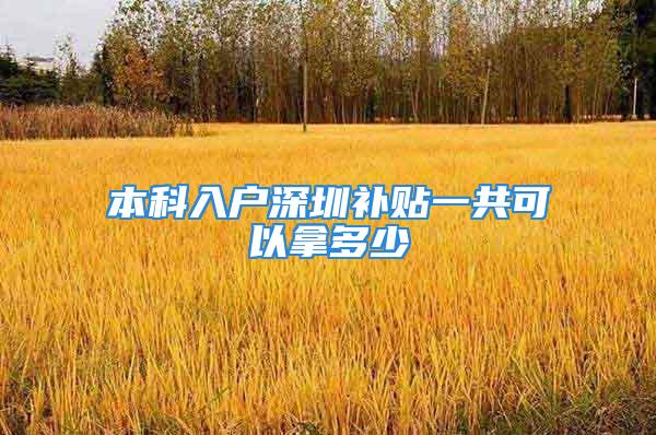 本科入戶深圳補貼一共可以拿多少