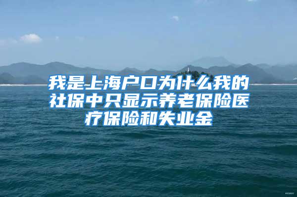 我是上海戶口為什么我的社保中只顯示養(yǎng)老保險醫(yī)療保險和失業(yè)金