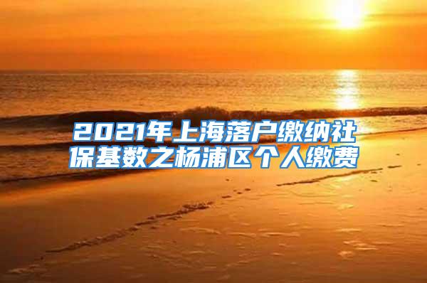 2021年上海落戶繳納社保基數(shù)之楊浦區(qū)個(gè)人繳費(fèi)