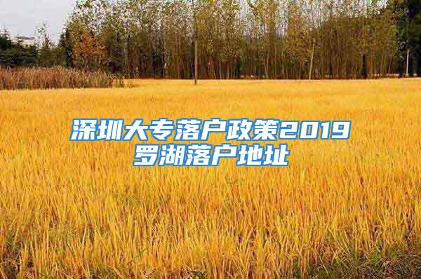 深圳大專落戶政策2019羅湖落戶地址