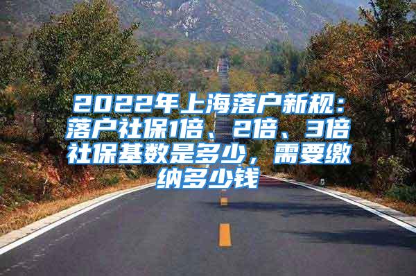 2022年上海落戶新規(guī)：落戶社保1倍、2倍、3倍社?；鶖?shù)是多少，需要繳納多少錢